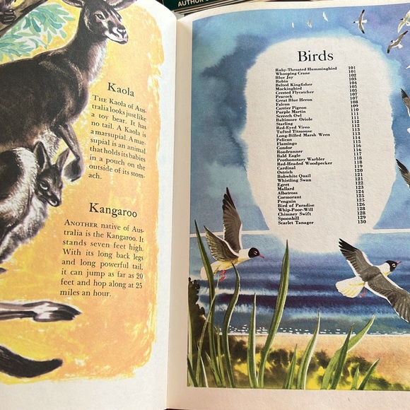 Vintage The Wonders of Nature Hardcover Book 1974 Coffee Table Book oversized - Picture 6 of 16